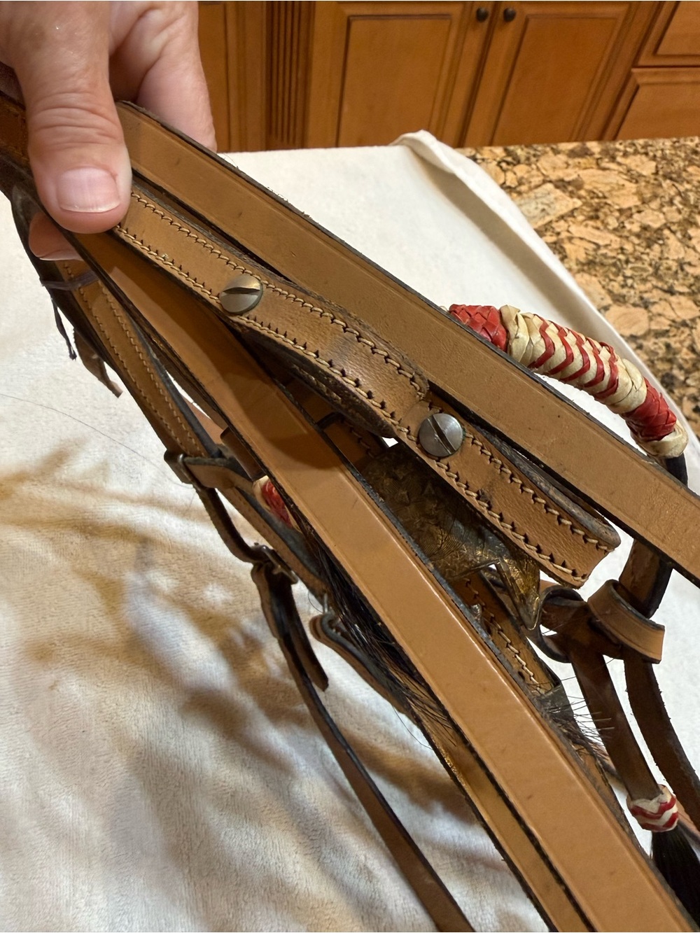 Leather Western Headstall w/ matching reins w/ horsehair Accent colored rawhide - Picture 9 of 16
